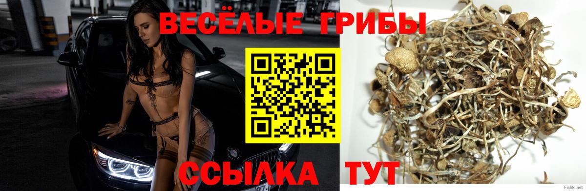 Серов  Галлюциногенные грибы ЛСД  купить закладку  Вход с VPN 